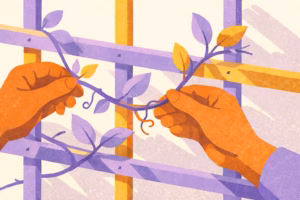 Neuroplasticity and Tinnitus: How Your Brain Can Rewire Its Response